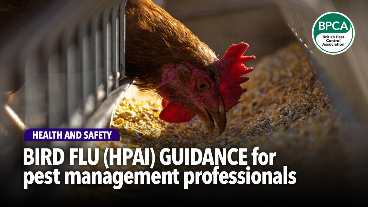 bird-flu-guidance-for-pest-professionals bird-flu-guidance-for-pest-professionals